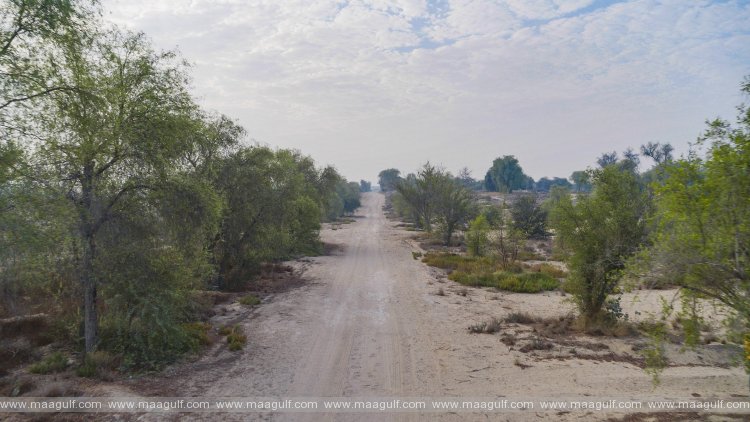 Mushrif Park to see a new50 km sand bike track